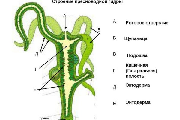 Ссылка на кракен kraken 6 onion