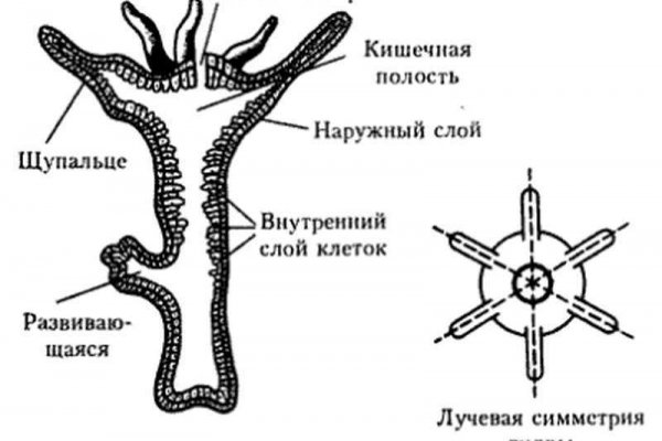 Список даркнет сайтов