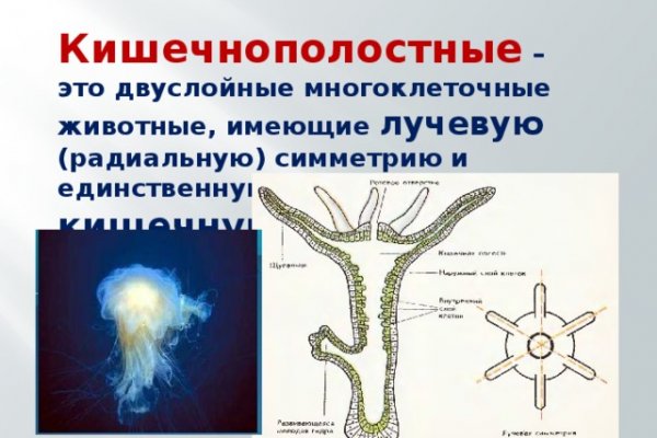 Через какой браузер можно зайти на кракен