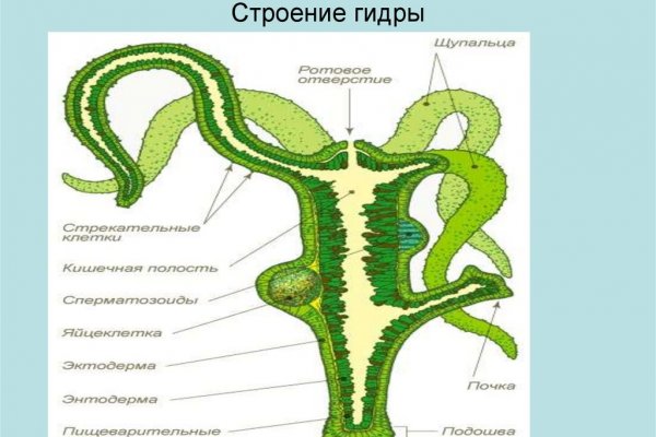 Как зайти в кракен