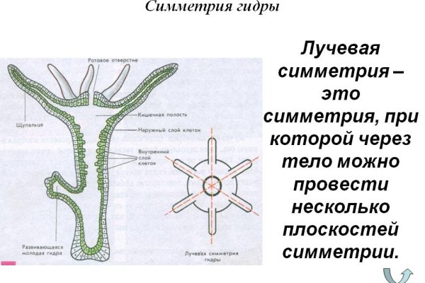 Сайт kraken darknet